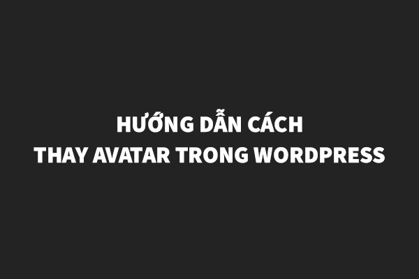 Hướng Dẫn Cách Thay Avatar Trong Wordpress